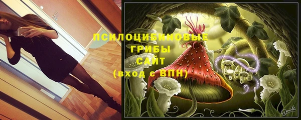 экстази Рославль