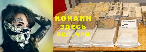 прущие грибы Приозерск
