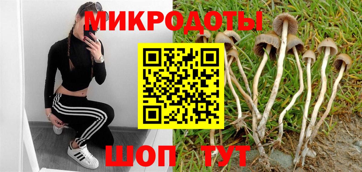 Галлюциногенные грибы ЛСД Сертолово