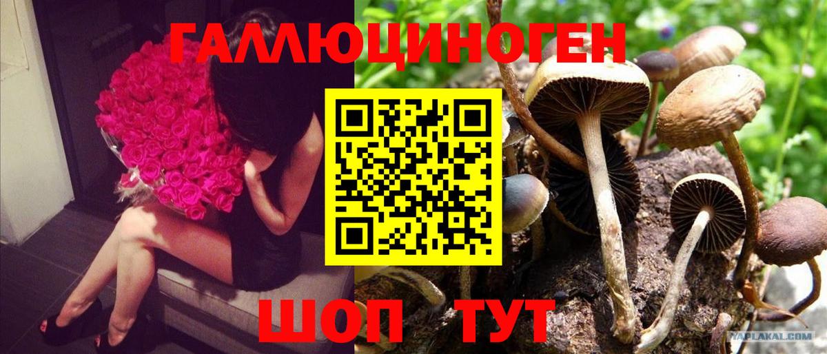 Псилоцибиновые грибы мицелий  Вход с VPN  Сертолово  Псилоцибиновые грибы Magic Shrooms 